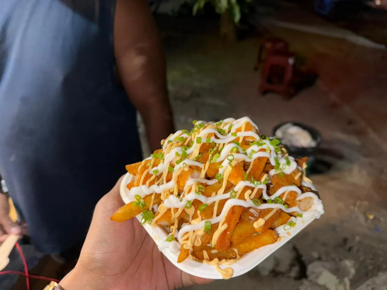 Loaded fries Before