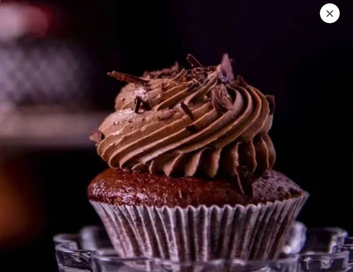 Chocolate cupcake, Aubree, phone shot before Pleny